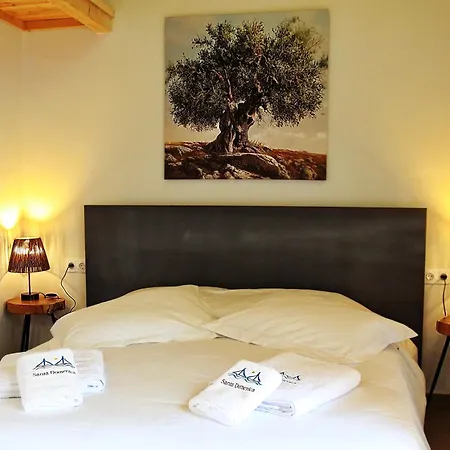 Santa Domenica Nafpaktos - Rooms And Apartments By The Sea Exterior photo
